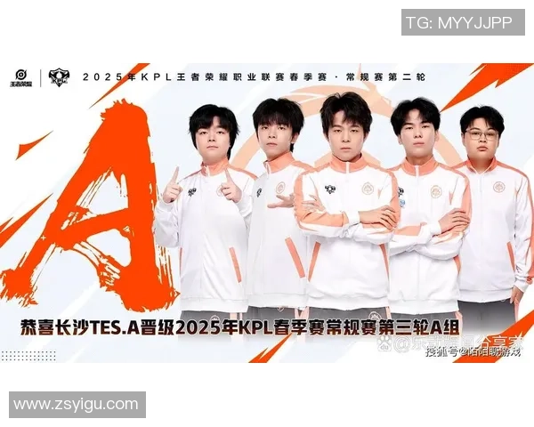 聚焦王者荣耀TES战队灵活应变能力的深度解析与战术探讨